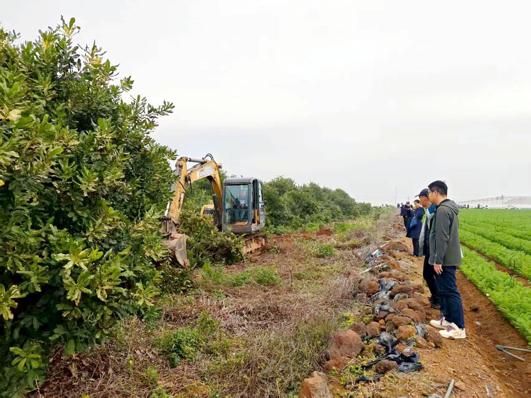 沖刺四季度 打贏(yíng)收官戰(zhàn)丨金光農(nóng)場(chǎng)公司持續(xù)開(kāi)展國(guó)有土地收復(fù)專(zhuān)項(xiàng)行動(dòng)