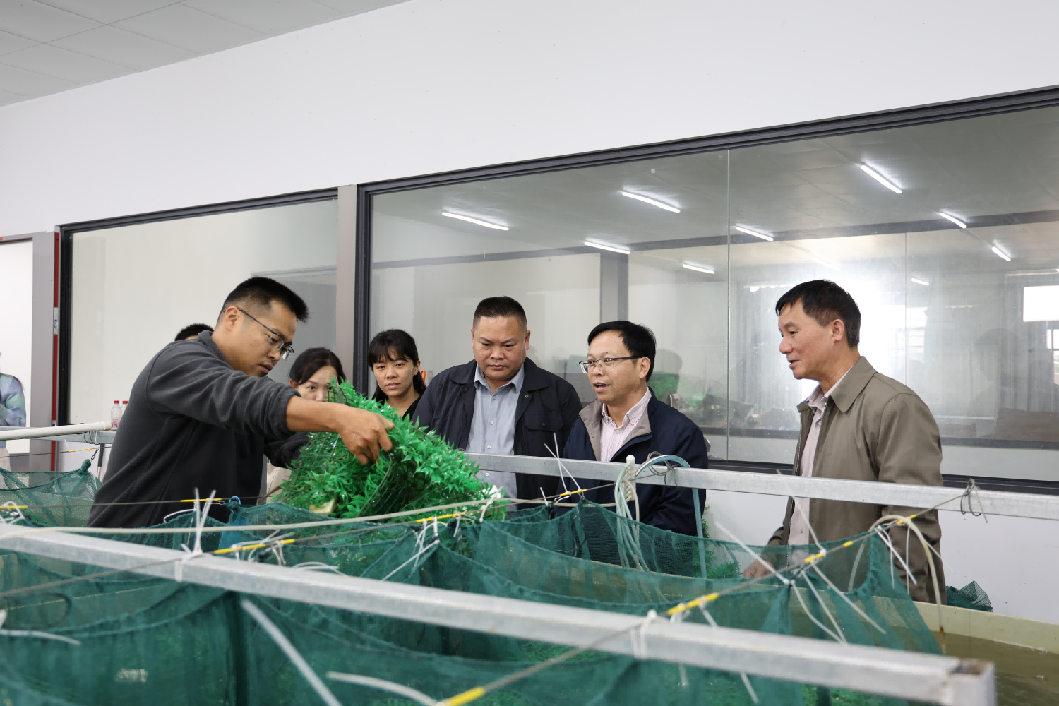 廣西國控集團(tuán)黨群工作部黨支部、金光農(nóng)場公司金農(nóng)源黨支部聯(lián)合開展主題黨日活動(dòng)暨志愿服務(wù)活動(dòng)