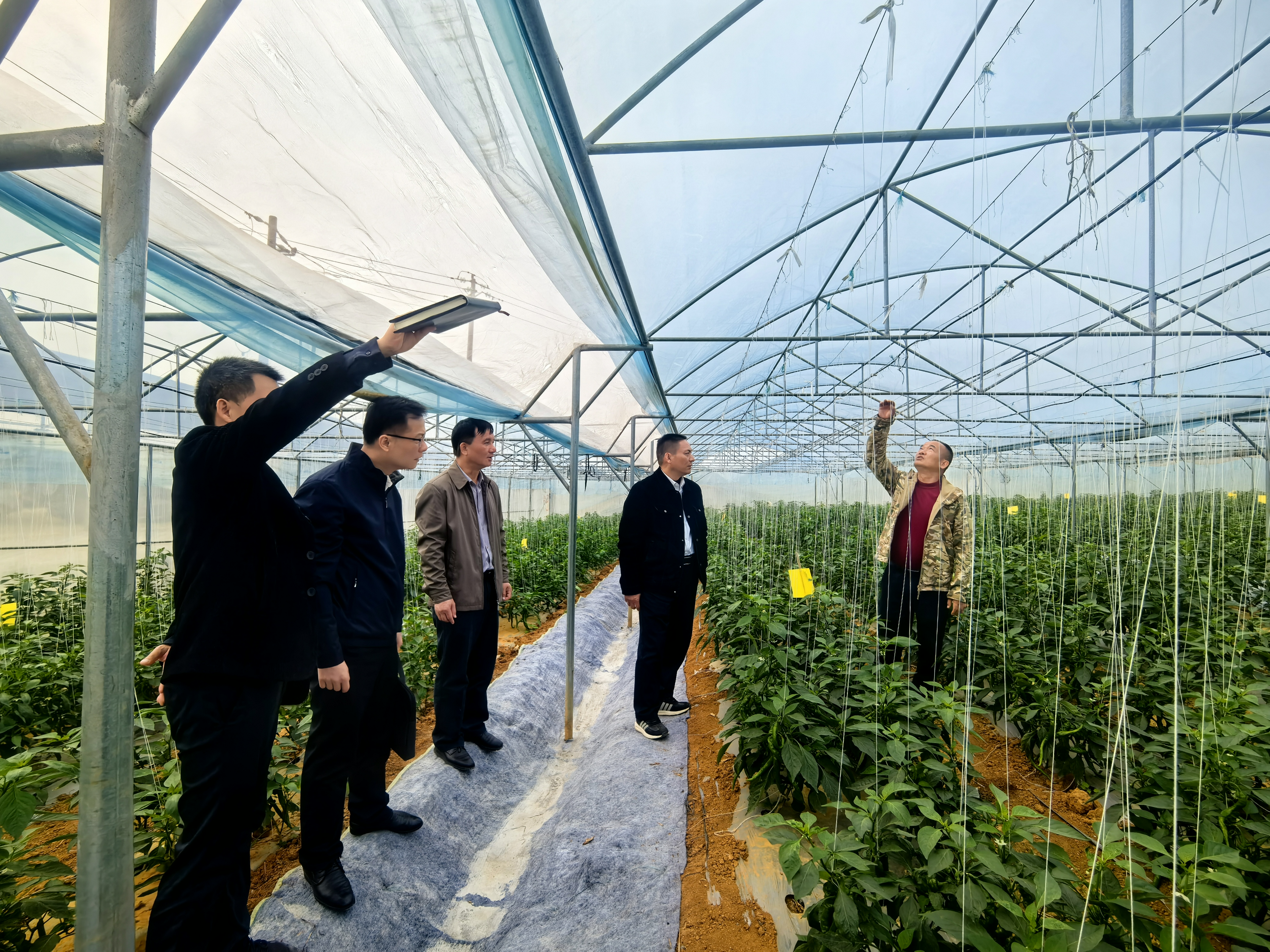 深入一線聽實(shí)情 把脈定向促發(fā)展公司領(lǐng)導(dǎo)近期赴基層開展專題調(diào)研